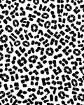 Abstract Black White Patterned Rug