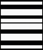 Bold Black and White Stripe Design Rug