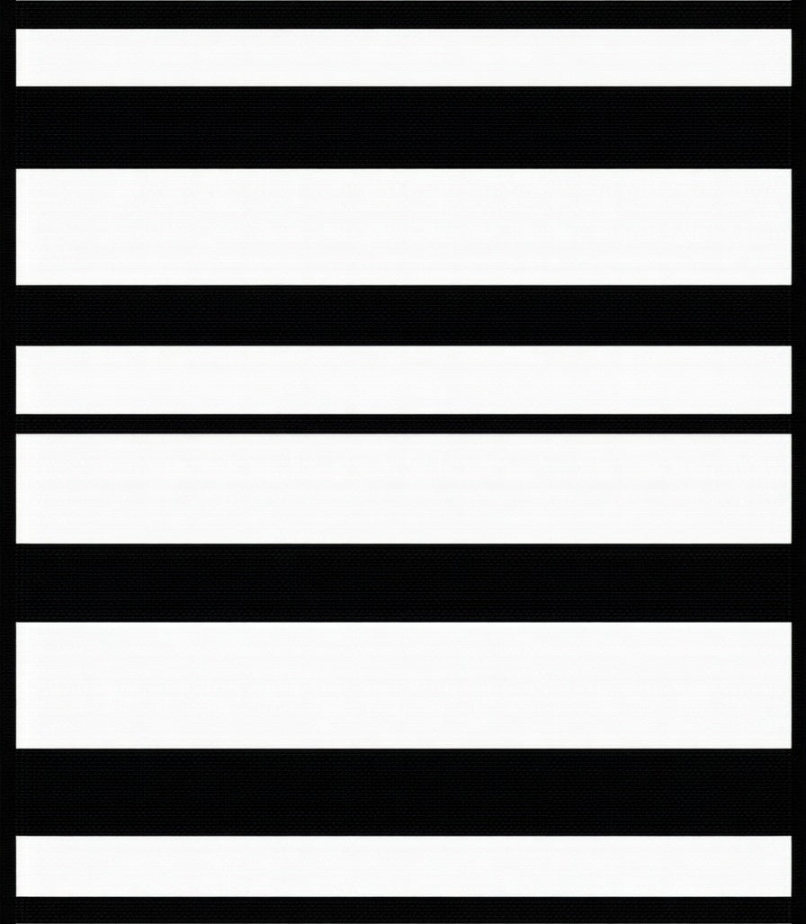 Bold Black and White Stripe Design Rug