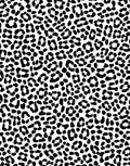 Bold Black White Animal Print Rug