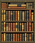 Ornate Antique Book Motif Rug