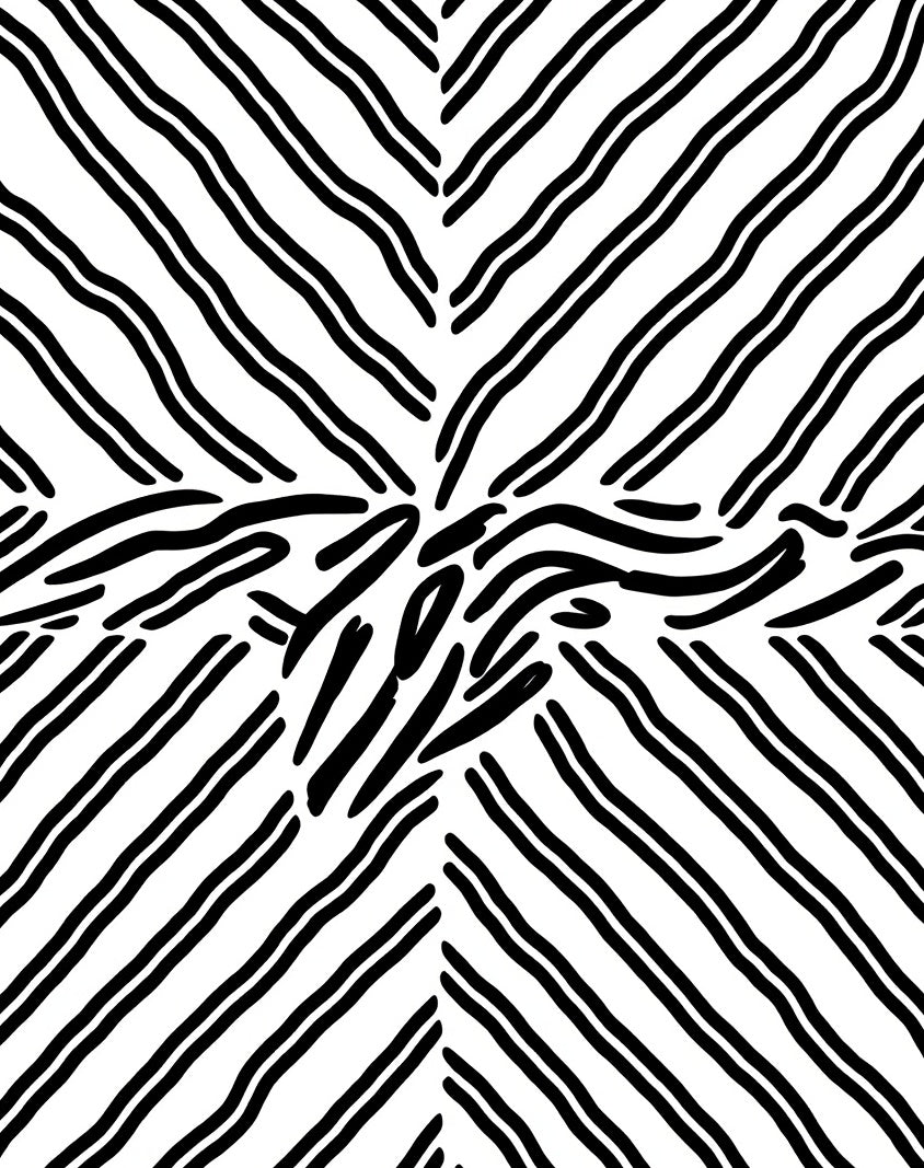 Black White Abstract Stripe Design Rug