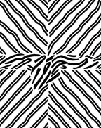 Black White Abstract Stripe Design Rug