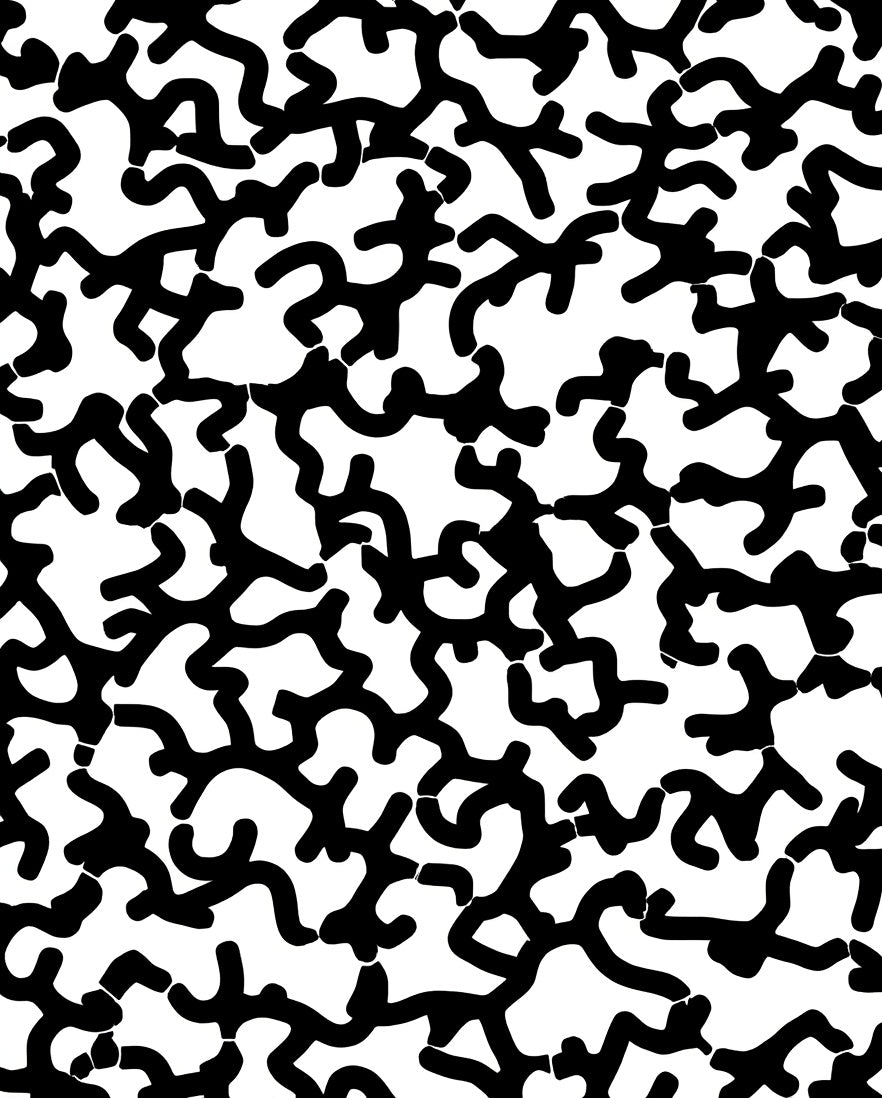 Abstract Organic Black and White Pattern Rug