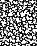 Abstract Organic Black and White Pattern Rug