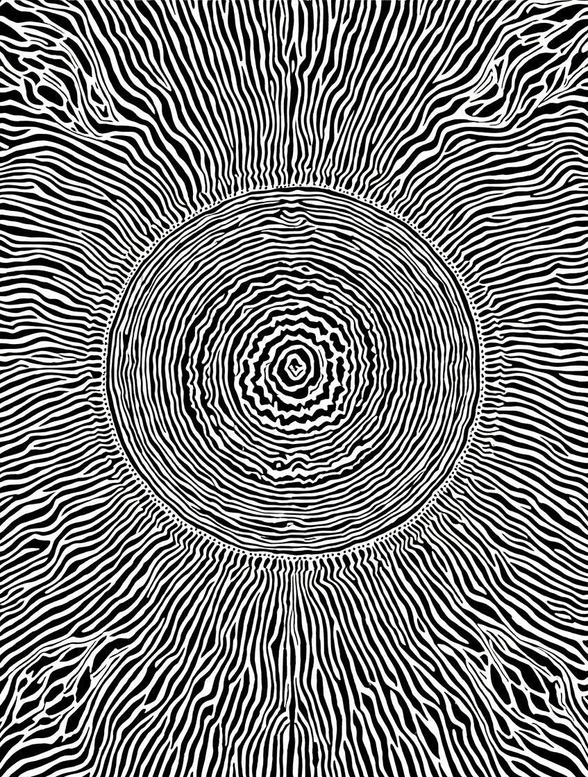 Abstract Black White Concentric Pattern Rug