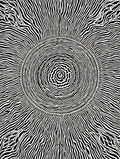 Abstract Black White Concentric Pattern Rug