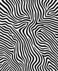 Bold Black White Zebra Stripes Design Rug