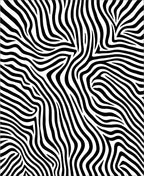 Bold Black White Zebra Stripes Design Rug