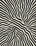 Bold Black and White Animal Print Rug