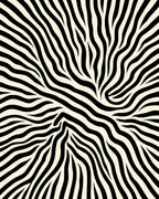 Bold Black and White Animal Print Rug