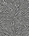Abstract Black White Zebra Stripes Rug