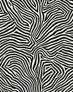 Abstract Black White Zebra Stripes Rug