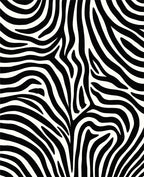 Wild Animal Print Stripes Rug