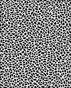Black And White Organic Pattern Rug