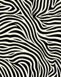 Bold Black White Zebra Pattern Rug