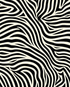 Bold Black White Zebra Pattern Rug