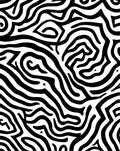 Bold Black White Abstract Lines Rug