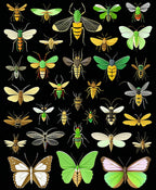 Assorted Insect Pattern Design Rug