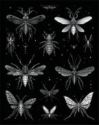 Insect Collection In Black White Rug