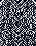Bold Zebra Stripe Pattern Rug