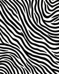 Bold Black And White Striped Pattern Rug