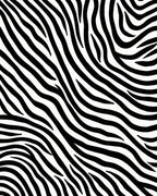 Bold Black And White Striped Pattern Rug