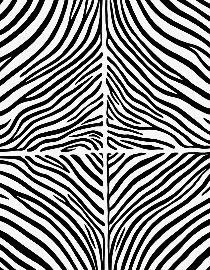 Bold Black White Zebra Stripe Rug