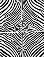 Bold Black White Zebra Stripe Rug