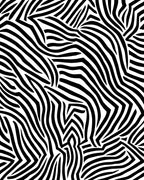 Abstract Zebra Print Pattern Rug