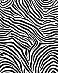 Bold Black White Wavy Lines Rug