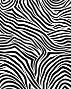 Bold Black White Wavy Lines Rug