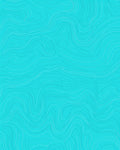 Aqua Contour Line Topographic Rug