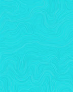 Aqua Contour Line Topographic Rug