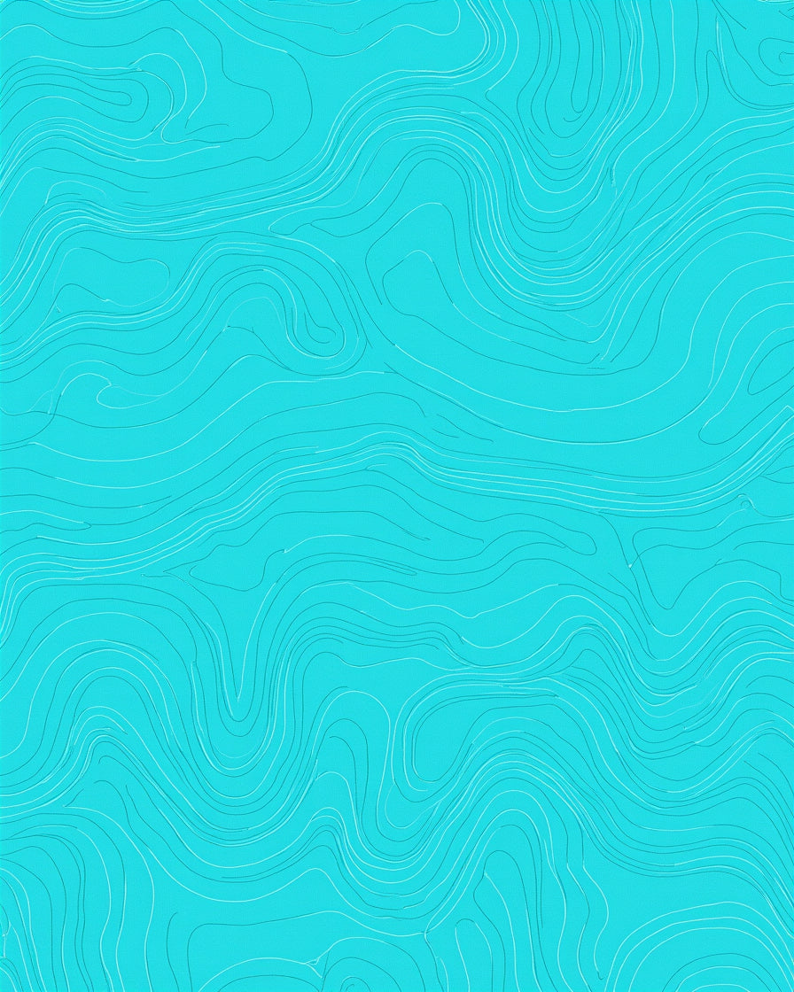 Aqua Contour Line Topographic Rug