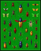 Bold Insect Collection Design Rug