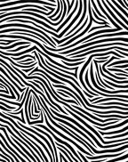 Bold Black White Stripe Pattern Rug