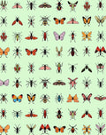 Whimsical Insect Collage Pattern Rug