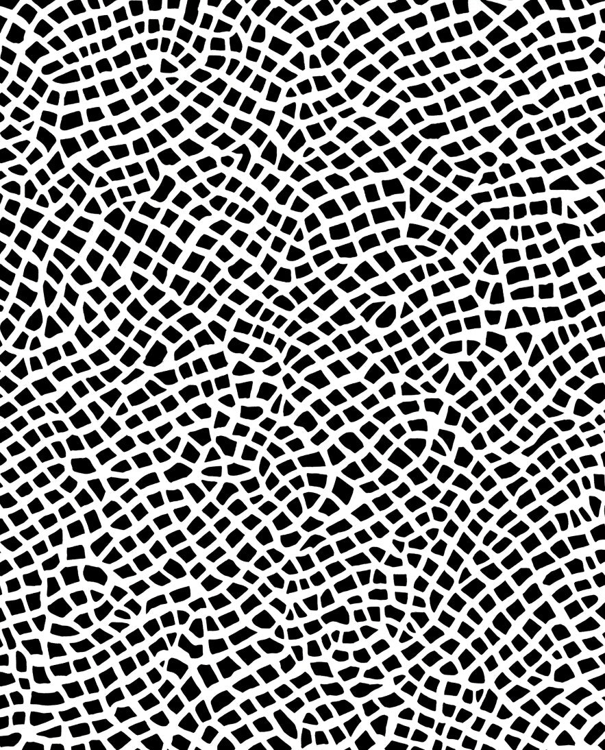 Organic Black White Net Pattern Rug
