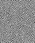 Organic Black White Net Pattern Rug