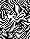Bold Black White Zebra Stripe Rug