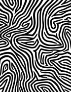 Bold Black White Zebra Stripe Rug