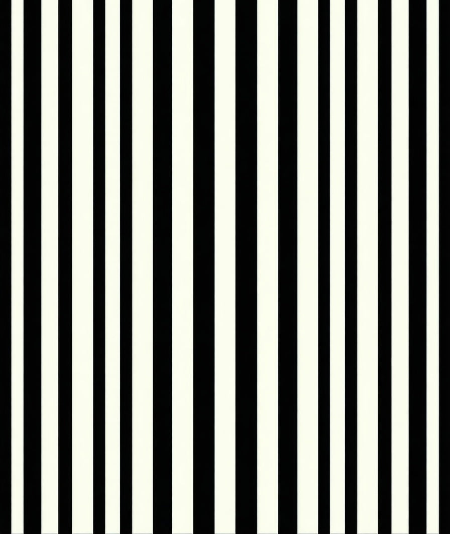 Bold Black White Vertical Stripes Rug