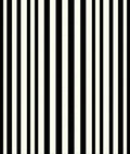 Bold Black White Vertical Stripes Rug
