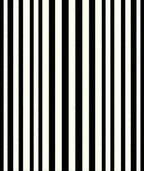 Bold Black White Vertical Stripes Rug