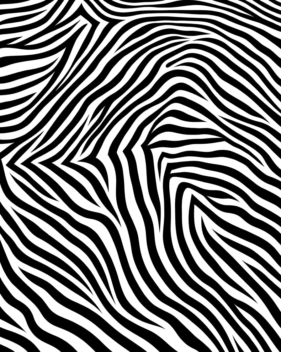 Bold Zebra Stripe Pattern Rug