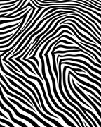 Bold Zebra Stripe Pattern Rug