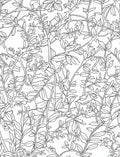 Vine Intertwined Botanical Outline Rug