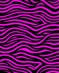 Bold Pink Black Zebra Stripe Rug