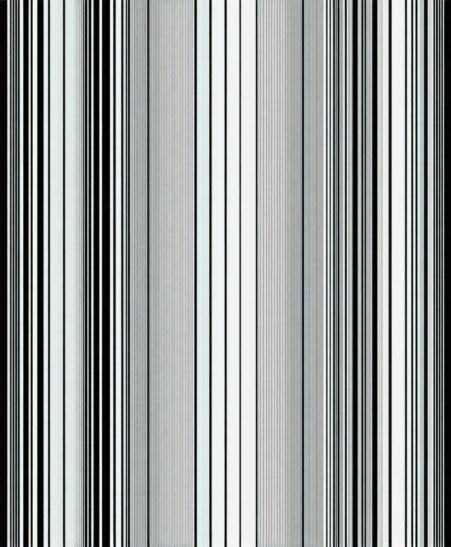 Minimalist Black White Stripe Design Rug